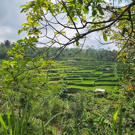 Hide And Seek Tetebatu Exterior foto