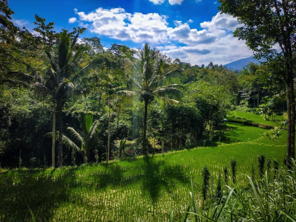 Hide And Seek Tetebatu Exterior foto