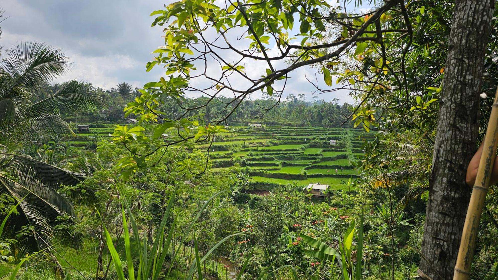 Hide And Seek Tetebatu Exterior foto