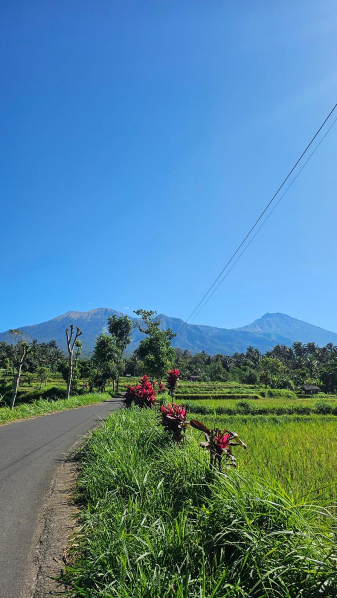 Hide And Seek Tetebatu Exterior foto