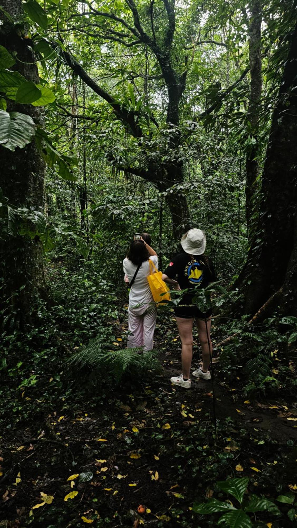 Hide And Seek Tetebatu Exterior foto